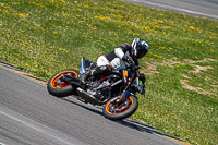 anglesey-no-limits-trackday;anglesey-photographs;anglesey-trackday-photographs;enduro-digital-images;event-digital-images;eventdigitalimages;no-limits-trackdays;peter-wileman-photography;racing-digital-images;trac-mon;trackday-digital-images;trackday-photos;ty-croes